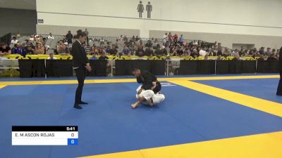 2023 World Master IBJJF Jiu-Jitsu Championship - Videos - FloGrappling