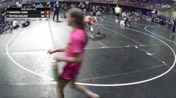 95 lbs Quarterfinal - Peyton Eklund, HWA vs Makenna Thies, Winside Youth Wrestling