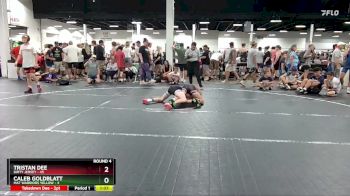 110 lbs Round 4 (6 Team) - Tristan Dee, Dirty Jersey vs Caleb Goldblatt, Mat Warriors Yellow