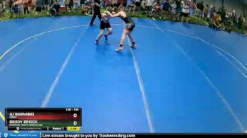 135 lbs Quarterfinal - Aj Barnabei, NBWC vs Brody Briggs, Davison Youth Wrestling