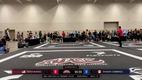 Mihailo Kostic vs Joseph Cho 2025 ADCC Niagara Open
