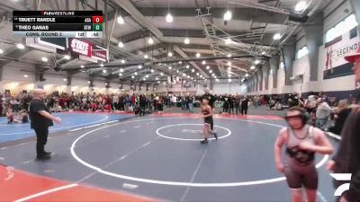 61 lbs Cons. Round 3 - Truett Randle, Apex Grappling Academy vs Theo Ganas, Best Trained Wrestling