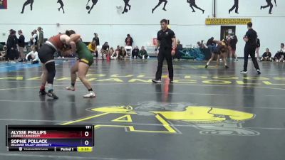 191 lbs Quarterfinal - Alysse Phillips, Lourdes University vs Sophie Pollack, Delawar Valley University