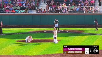 Asheboro ZooKeepers vs. Florence Flamingos - 2025 Florence Flamingos vs Asheboro ZooKeepers