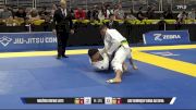 Luiz Henrique Viana Da Silva vs Rogério Drews Leite 2025 Pan Jiu Jitsu IBJJF Championship