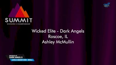 Wicked Elite - Dark Angels [2025 L5 Senior Coed - Small Prelims] 2025 The D2 Summit