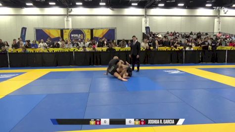 Joshua R. Garcia vs Casey T Lorenz 2024 World IBJJF Jiu-Jitsu No-Gi Championship