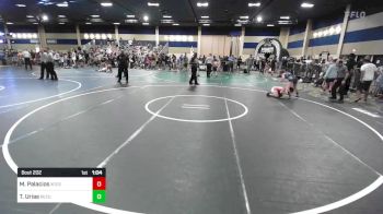 116 lbs Semifinal - Miyah Palacios, Xcess Wrestling vs Tessa Urias, ReZults