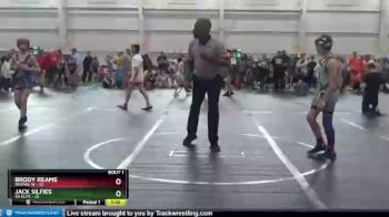 92 lbs Finals (2 Team) - Brody Reams, Revival W vs Jack Silfies, VA Elite