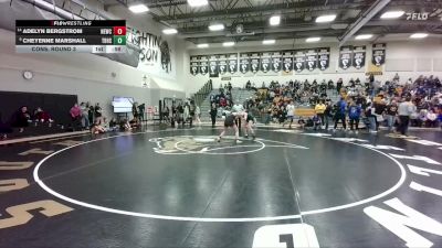 145 lbs Cons. Round 3 - Adelyn Bergstrom, Newcastle vs Cheyenne Marshall, Thunder Basin High School