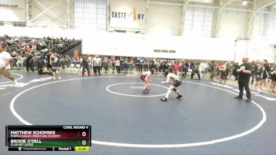 96 lbs Cons. Round 4 - Matthew Schomske, Purple Eagles Wrestling Academy vs Brodie O`Dell, Club Not Listed