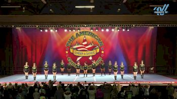 Spirit Revolution All Stars - Platinum [2023 L2 Senior - D2 Day 1] 2023 The American Royale Sevierville Nationals