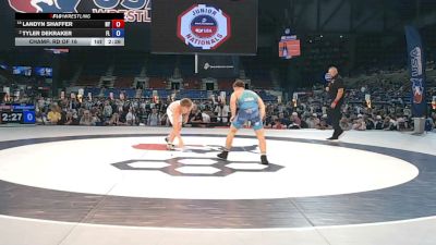 138 lbs Champ. Rd Of 16 - Landyn Shaffer, New York vs Tyler Dekraker, Florida