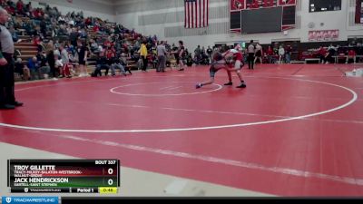 106 lbs Cons. Round 3 - Jack Hendrickson, Sartell-Saint Stephen vs Troy Gillette, Tracy-Milroy-Balaton-Westbrook-Walnut-Grove