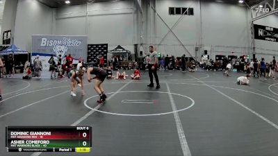 96 lbs Round 3 (4 Team) - Asher Comeforo, Mat Warriors Black vs Dominic Giannoni, Mat Assassins Red