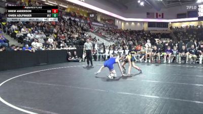 132 lbs Quarterfinal - Owen Adlfinger, Wilton vs Drew Anderson, Riverside, Oakland