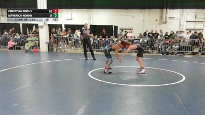 112 lbs Consi Of 16 #2 - Christian Bushy, OH vs Maverick Hoehn, IN