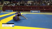David Clarke Willacker vs Quintan Gladstone Young 2024 Pan IBJJF Jiu-Jitsu No-Gi Championship