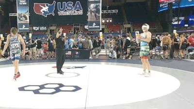 138 lbs Champ. Rd Of 32 - Tyler Paulson, Wisconsin vs Benjamin Howard, Illinois