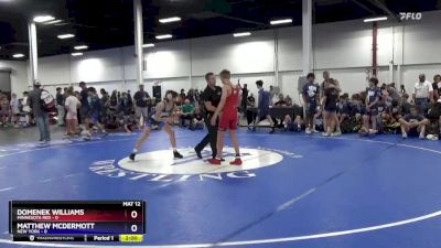 106 lbs 4th Wrestleback (16 Team) - Domenek Williams, Minnesota Red vs Matthew McDermott, New York