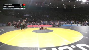 6A Boys 113 lbs Cons. Round 2 - Lukas Anderson, South Salem Boys vs Cole Thomas, McMinnville Boys