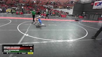 90 lbs 1st Place Match - Brooks Halverson, Pec-Argyle Youth Wrestling vs Ryan Schumacher, Hortonville