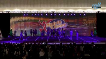 Cheer Florida All Stars - Hydra [2024 L1 Junior - Medium Day 1] 2024 Spirit Cheer Dance Grand Nationals & Cheer Nationals