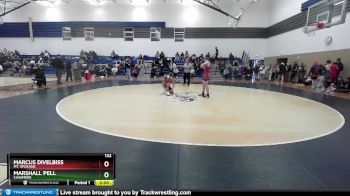 132 lbs Quarterfinal - Marshall Pell, Cashmere vs Marcus Divelbiss, Mt. Spokane