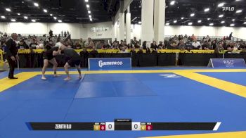 Diego Abreu Machado vs Nicholas Anthony Hopper 2025 World IBJJF Jiu-Jitsu No-Gi Championship