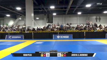 Noam Peleg vs Javier M. G. Arizmendiz 2026 American National IBJJF Jiu-Jitsu Championship