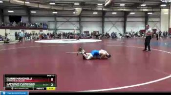 133 lbs Prelim - Cameron Pleninger, U.s. Merchant Marine Academy vs Gianni Manginelli, Springfield College