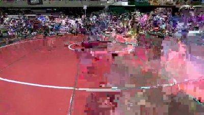 86 lbs Round Of 16 - Marino Pawlos, Bethel Park vs Gino Hayes, Webster