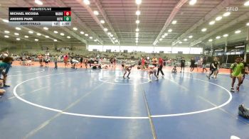 85 lbs Semifinal - Michael Nicosia, Mat Assassins Red vs Anders Park, Team Gotcha National