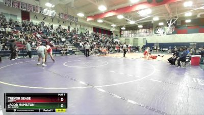 190 lbs Cons. Round 5 - Jacob Hamilton, Del Norte vs Trevor Sease, Liberty