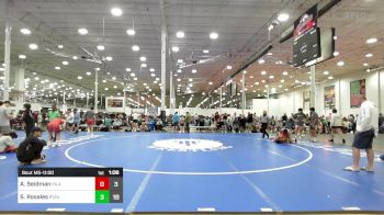 134 lbs Semifinal - Adam Seidman, PA Alliance Red vs Samuel Rosales, Revival Black