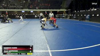 125 lbs Champ. Round 1 - Isaac Gawronski, Westminster vs Dominick Marre, Central