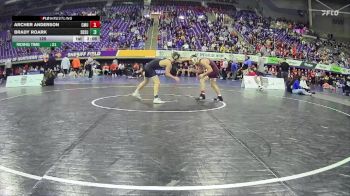 125 lbs Round 5 (6 Team) - Brady Roark, South Dakota State vs Archer Anderson, Central Michigan