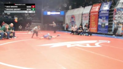 105 Class 1 lbs Champ. Round 1 - Nico Brooks, Hillsboro vs Brooke Giboney, North Callaway