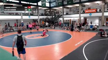 133-136 lbs 3rd Place Match - Ambre Hursey, Nighthawk WC vs Zhyler Hansen, Newman Central Catholic