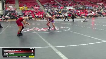 141 lbs Quarterfinal - Luke Adams, Ozarks vs Dominik Benedetto, Central Oklahoma