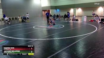 138 lbs Placement Matches (16 Team) - Antonio Boluffer, Black And Blue vs Martin Tate, STL Blue