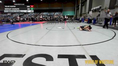 75 lbs Quarterfinal - Talan Hartig, South Hills Wrestling Academy vs Bentley Churape, Ridge Wresting Club