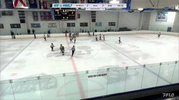 Replay: Home - 2024 VF Militia U8 vs LV Steel U8 | Feb 17 @ 6 PM