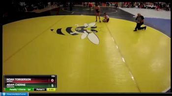 170 lbs Champ. Round 2 - Adam Cherne, Wayzata vs Noah Torgerson, Anoka