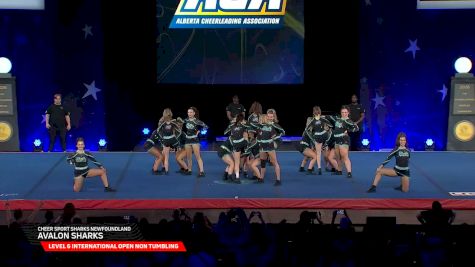 Cheer Sport Sharks Newfoundland - Avalon Sharks [2026 L6 International Open Non Tumbling Semis] 2026 The Cheerleading Worlds