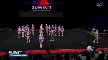 Triple Threat Athletics - WOLVERINE [2025 L2 Senior - Small Prelims] 2025 The D2 Summit