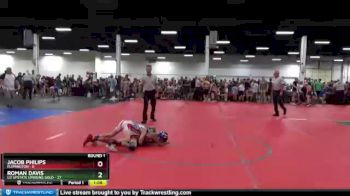 68 lbs Round 1 (8 Team) - Roman Davis, U2 Upstate Uprising Gold vs Jacob Philips, Flemington