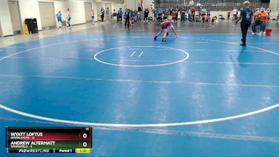 95 lbs Semis (4 Team) - Wyatt Loftus, Dover-Eyota vs Andrew Altermatt, Springfield