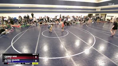 102 lbs Round 2 (6 Team) - Camree Wise, Utah 2 vs Alyssa Saldate, Gold Rush