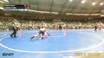 157 lbs Semifinal - Gannon Beach, Steller Trained vs Cameron Young, Alber Athletics